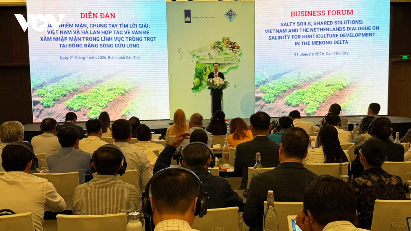 Vietnam and Netherlands address salinity intrusion in Mekong Delta