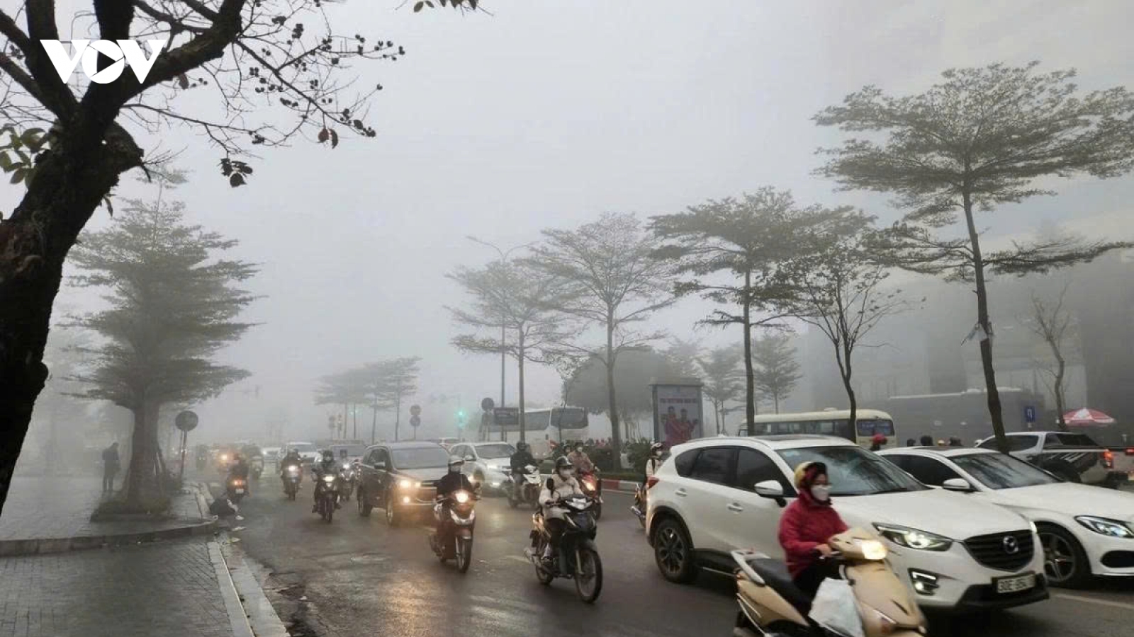 Thời tiết hôm nay 30/1: Bắc Bộ mưa phùn, sương mù, trời rét về đêm và sáng
