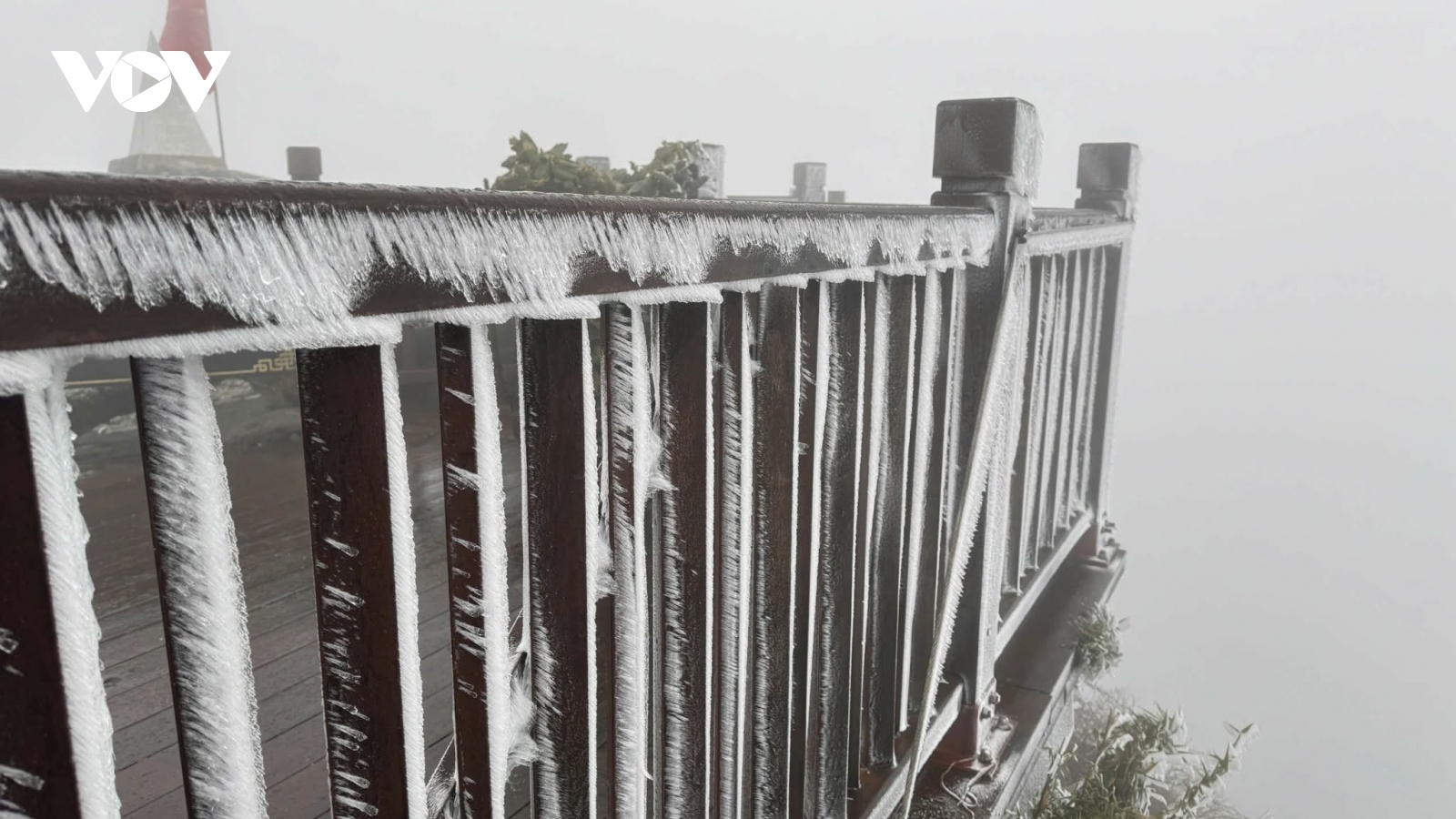 Băng giá phủ trắng đỉnh Fansipan sáng nay (7/1)