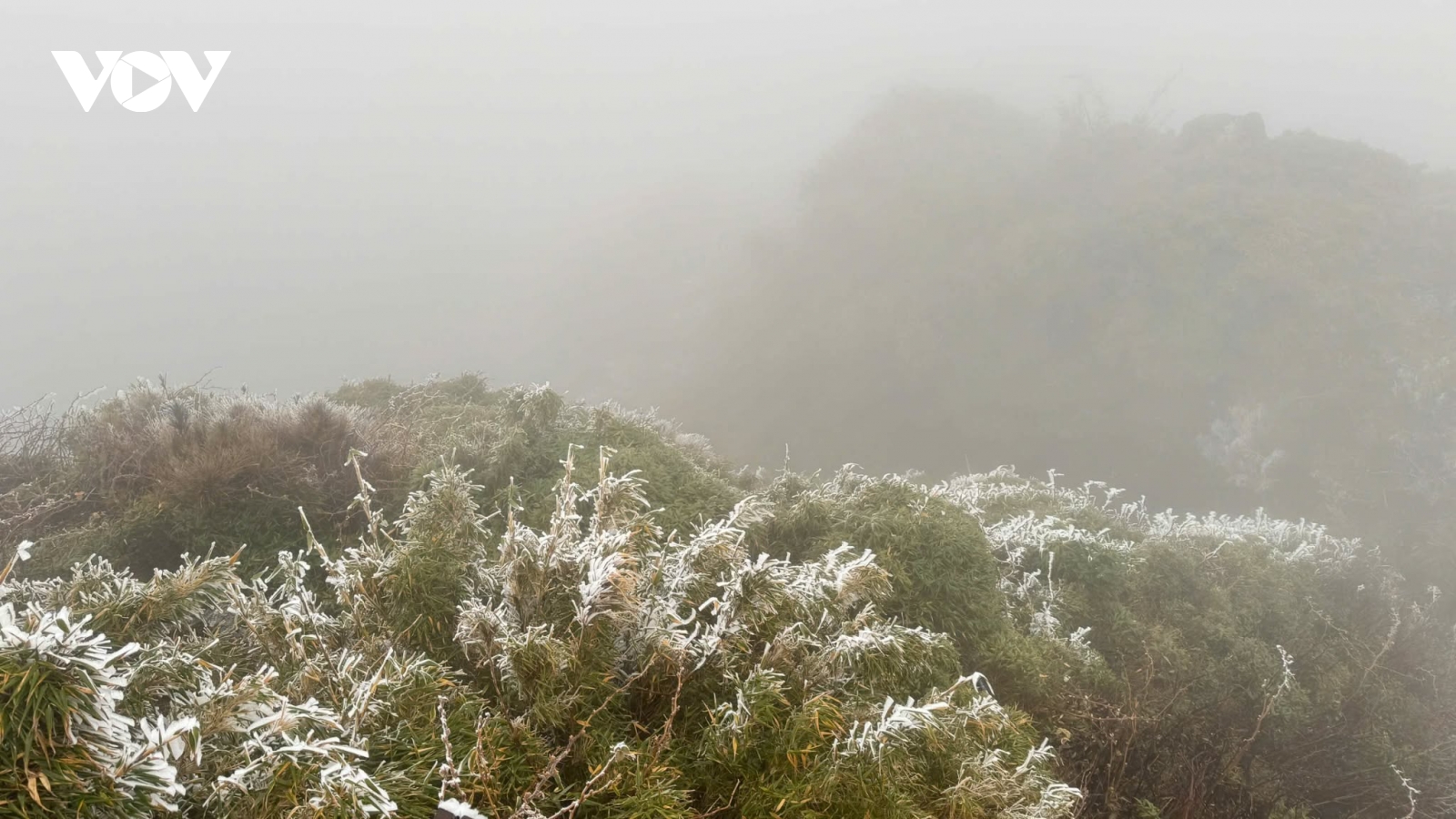 Băng giá phủ trắng đỉnh Fansipan sáng nay (7/1)