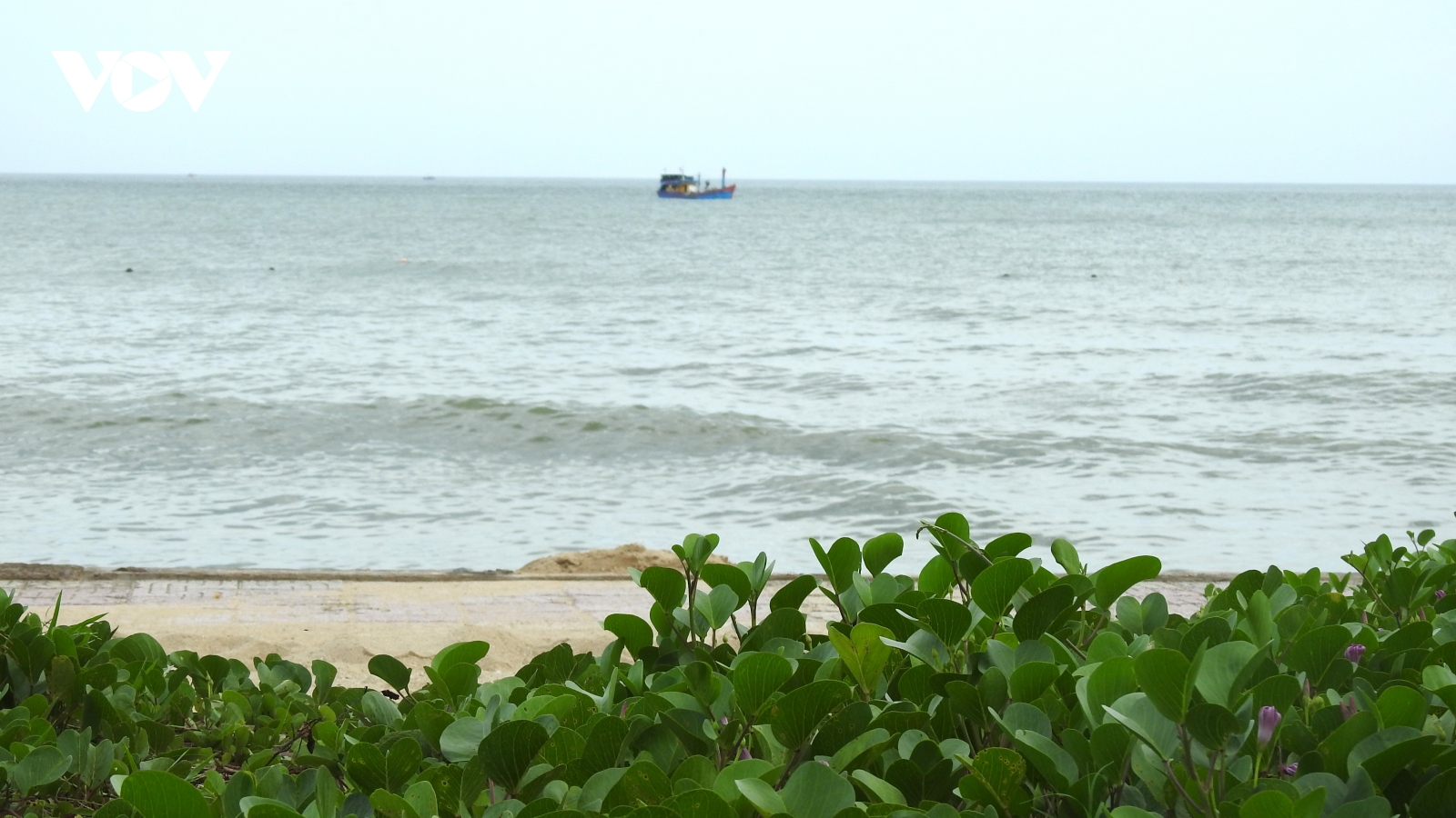 Lâm Đồng thiết lập cơ chế bảo vệ tại 54 khu vực ven biển