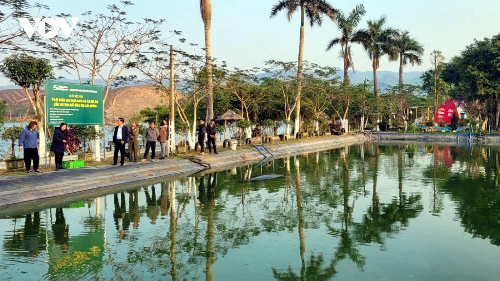 Nuôi cá trê thương phẩm - mô hình kinh tế nhiều tiềm năng ở Nghệ An