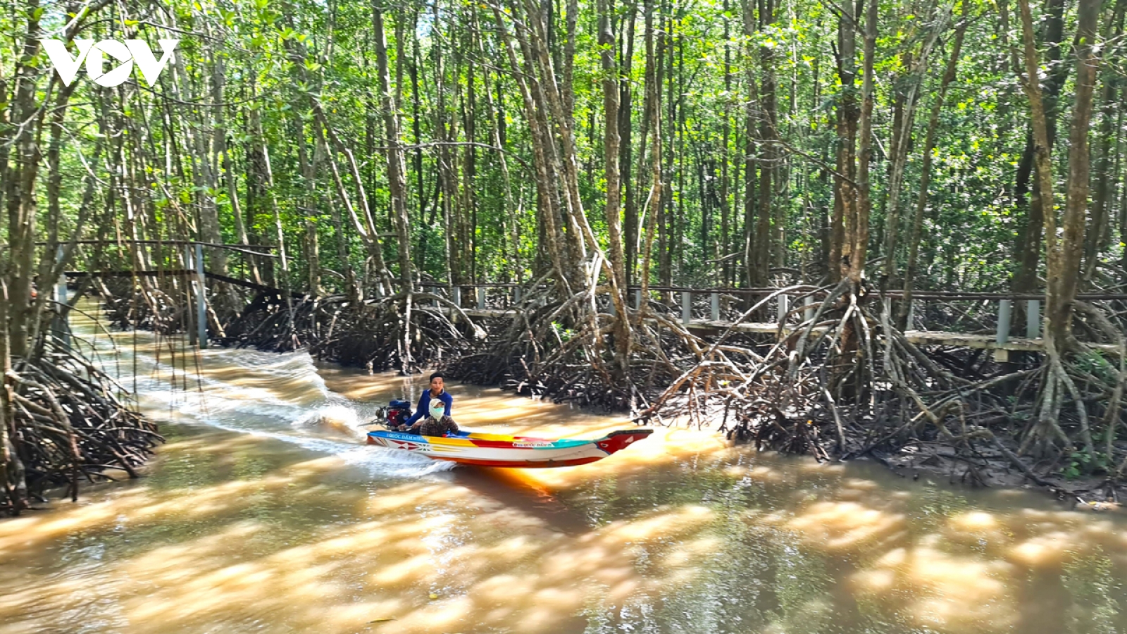 Cà Mau phê duyệt phương án quản lý hơn 23.000 ha rừng khu vực Đất Mũi