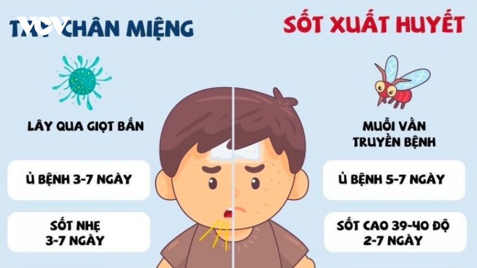 Sốt xuất huyết và tay chân miệng vẫn ghi nhận nhiều ca bệnh nặng