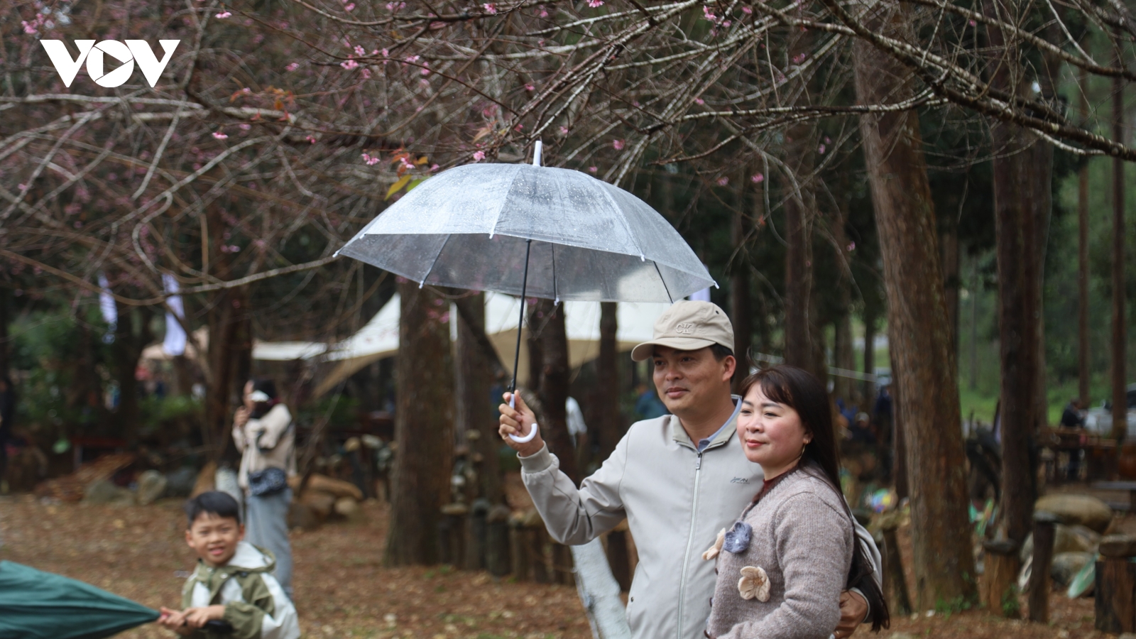 Du khách thích thú check-in tại Măng Đen dịp nghỉ Tết Dương lịch