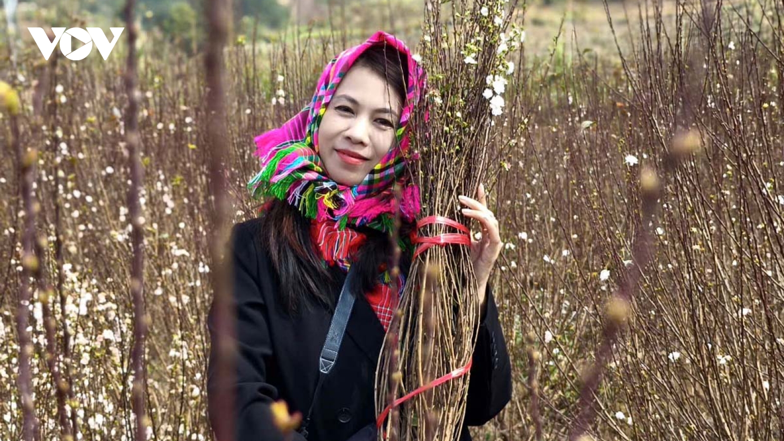 Đưa nông sản, con người vùng cao vào không gian số