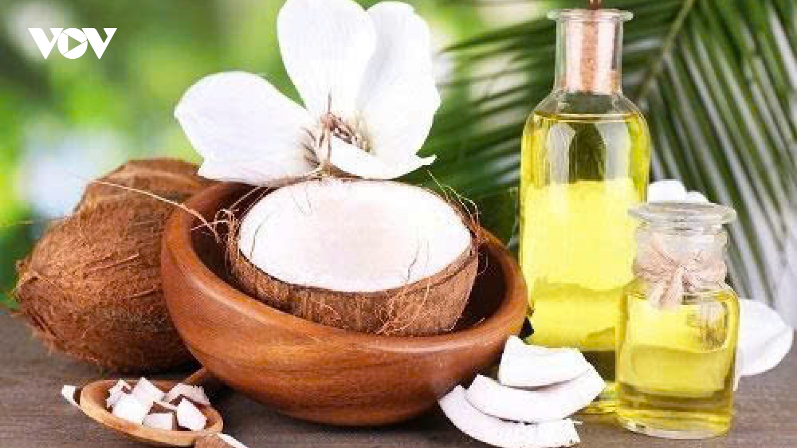 Dầu dừa có nấu ăn được không? Sự thật nhiều người chưa biết