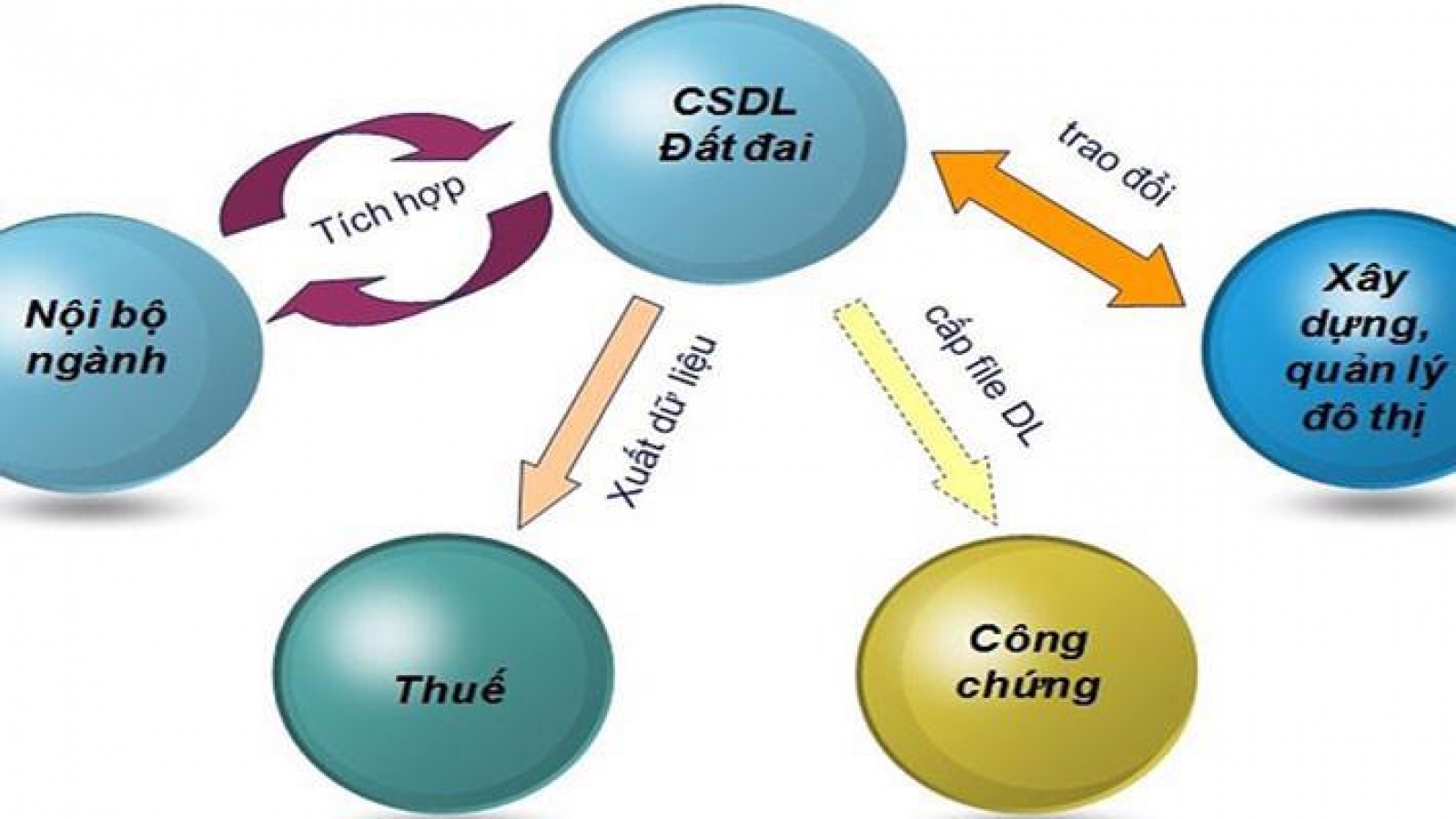 Kết nối dữ liệu thuế - đất đai: Thủ tục tài chính về đất sắp "dễ thở"