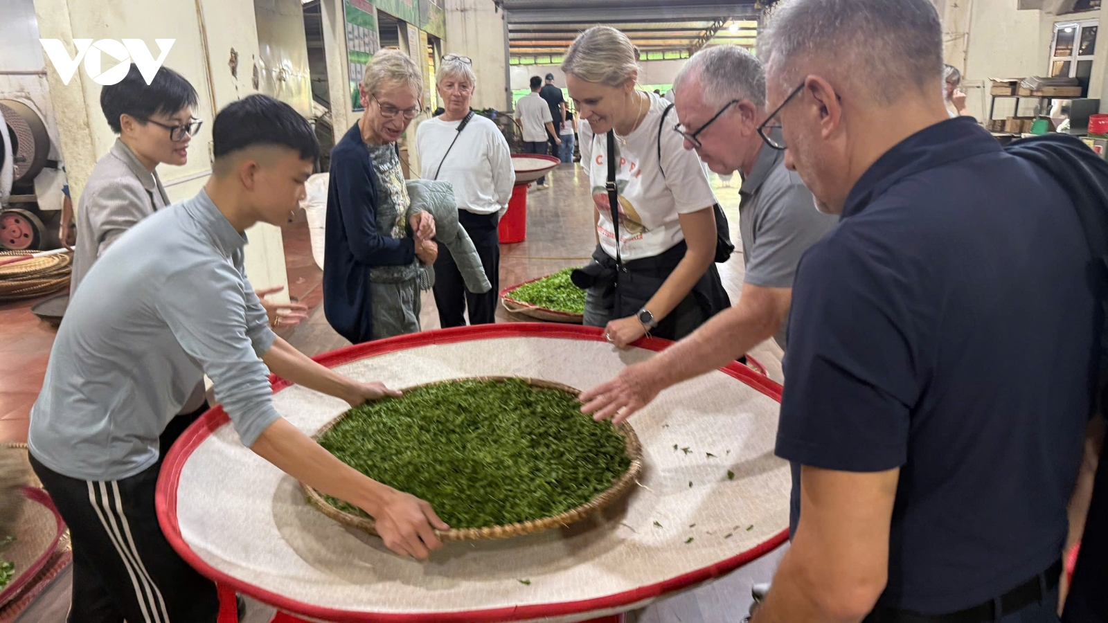 Nguồn vốn ưu đãi – đòn bẩy phát triển hợp tác xã tại Thái Nguyên