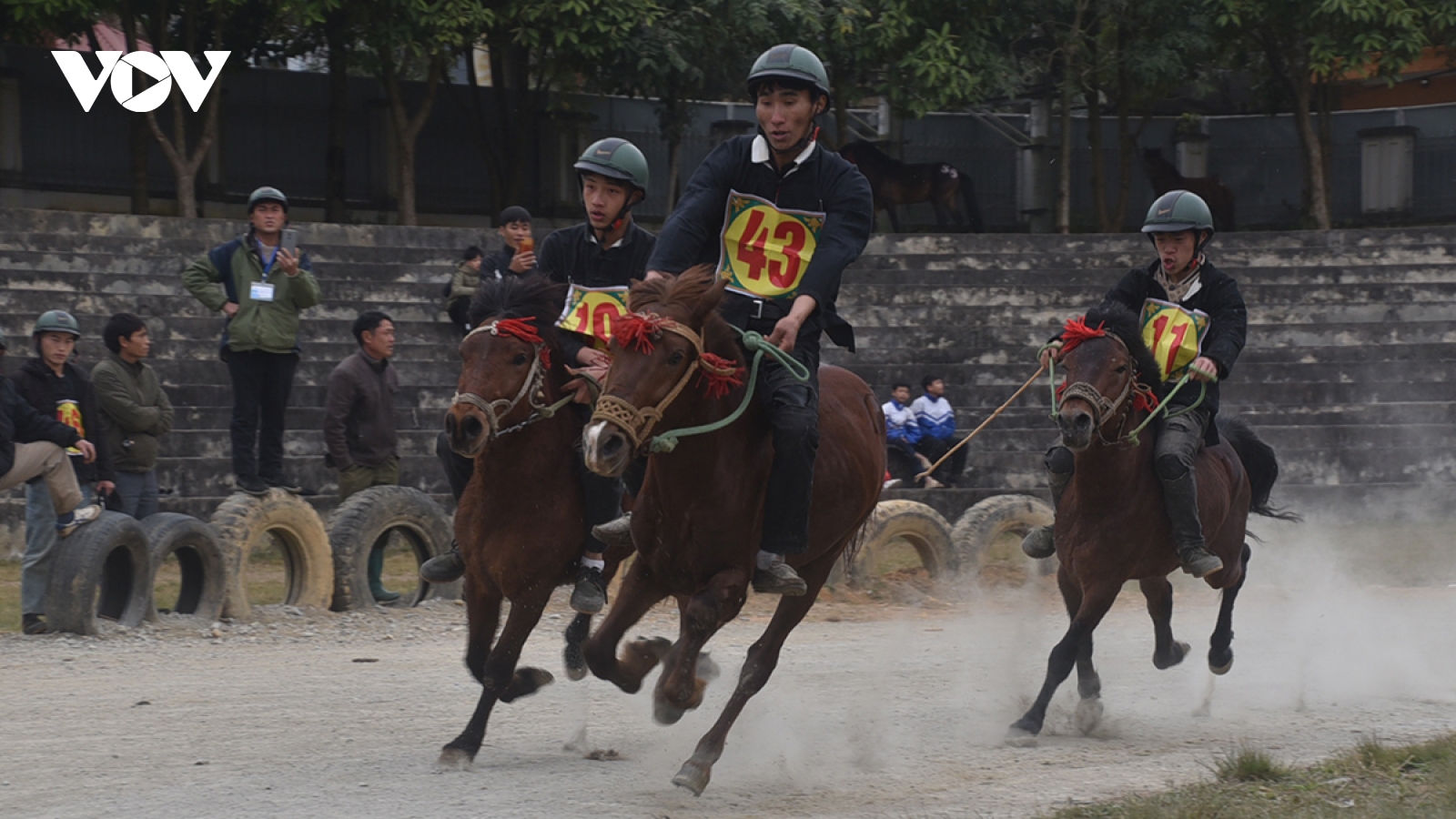 Cuối tuần xem vó ngựa đua trên cao nguyên trắng Bắc Hà