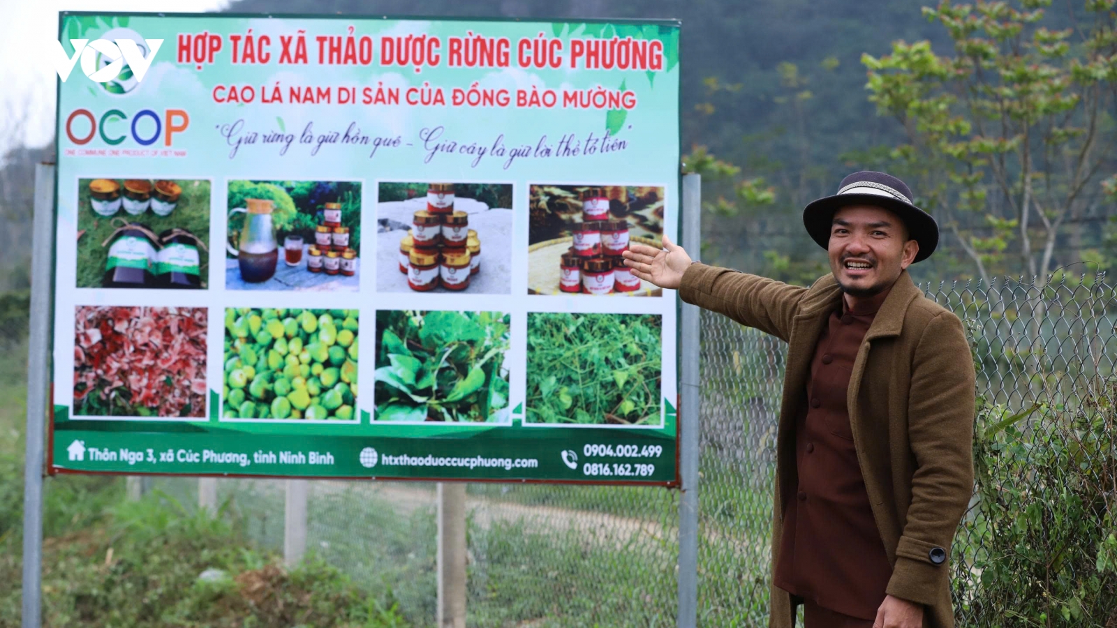 Ông chủ homestay thành lập HTX cao lá thảo dược