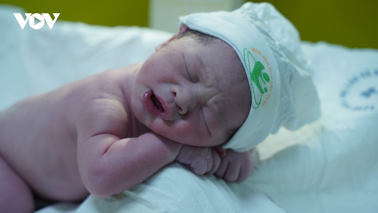 Khoảnh khắc chào đón "công dân 2026" đầu tiên của Việt Nam