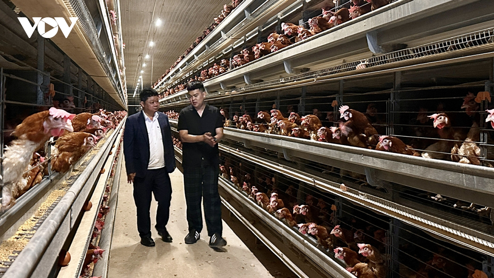 Đắk Lắk chủ động phòng dịch trên đàn vật nuôi, bảo đảm nguồn cung thực phẩm Tết