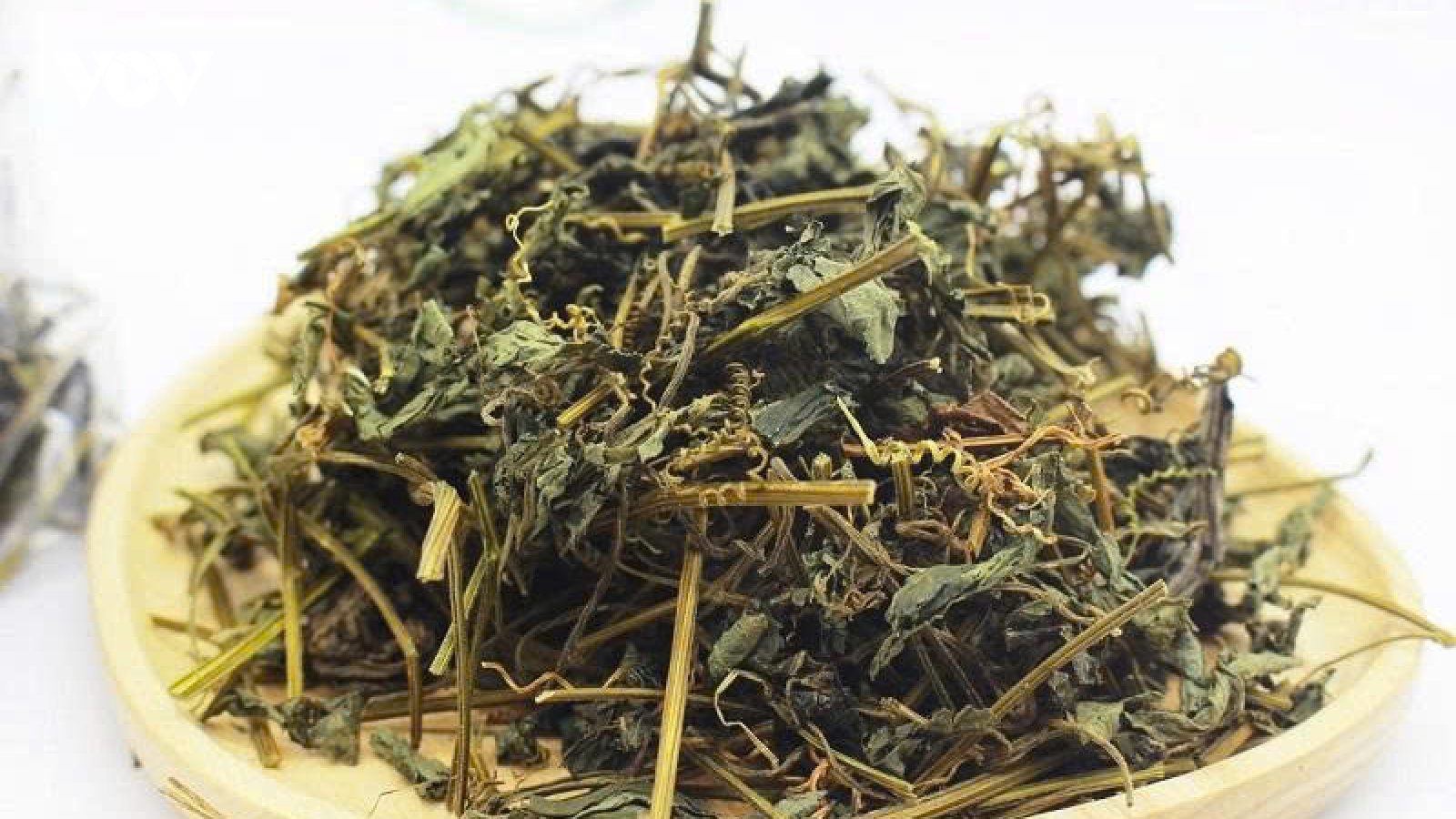 Giảo cổ lam: Vị thảo dược được ví “quý hơn sâm” có gì đặc biệt?