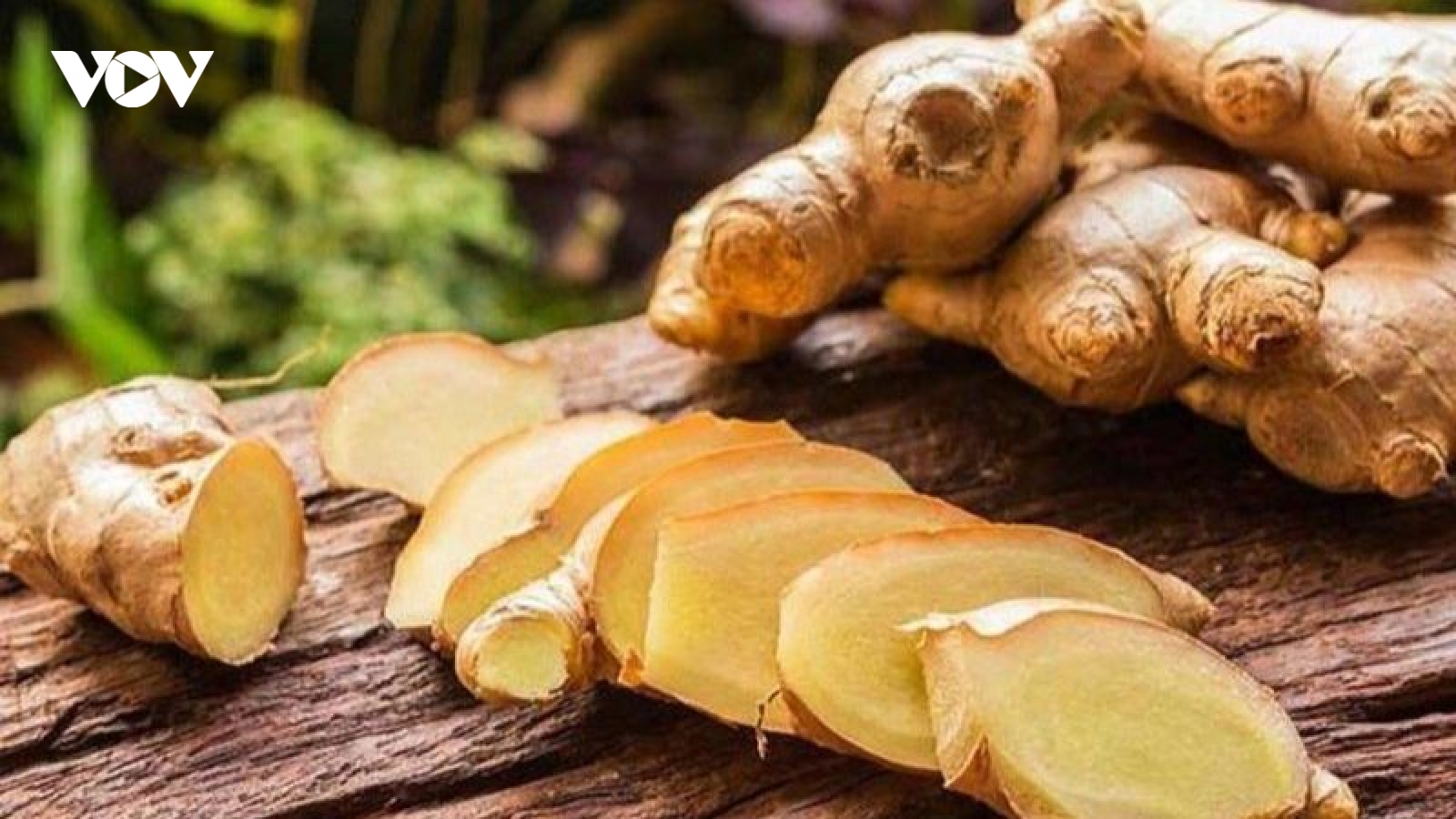 Điều gì xảy ra với cơ thể nếu bạn ngậm một lát gừng tươi mỗi sáng?