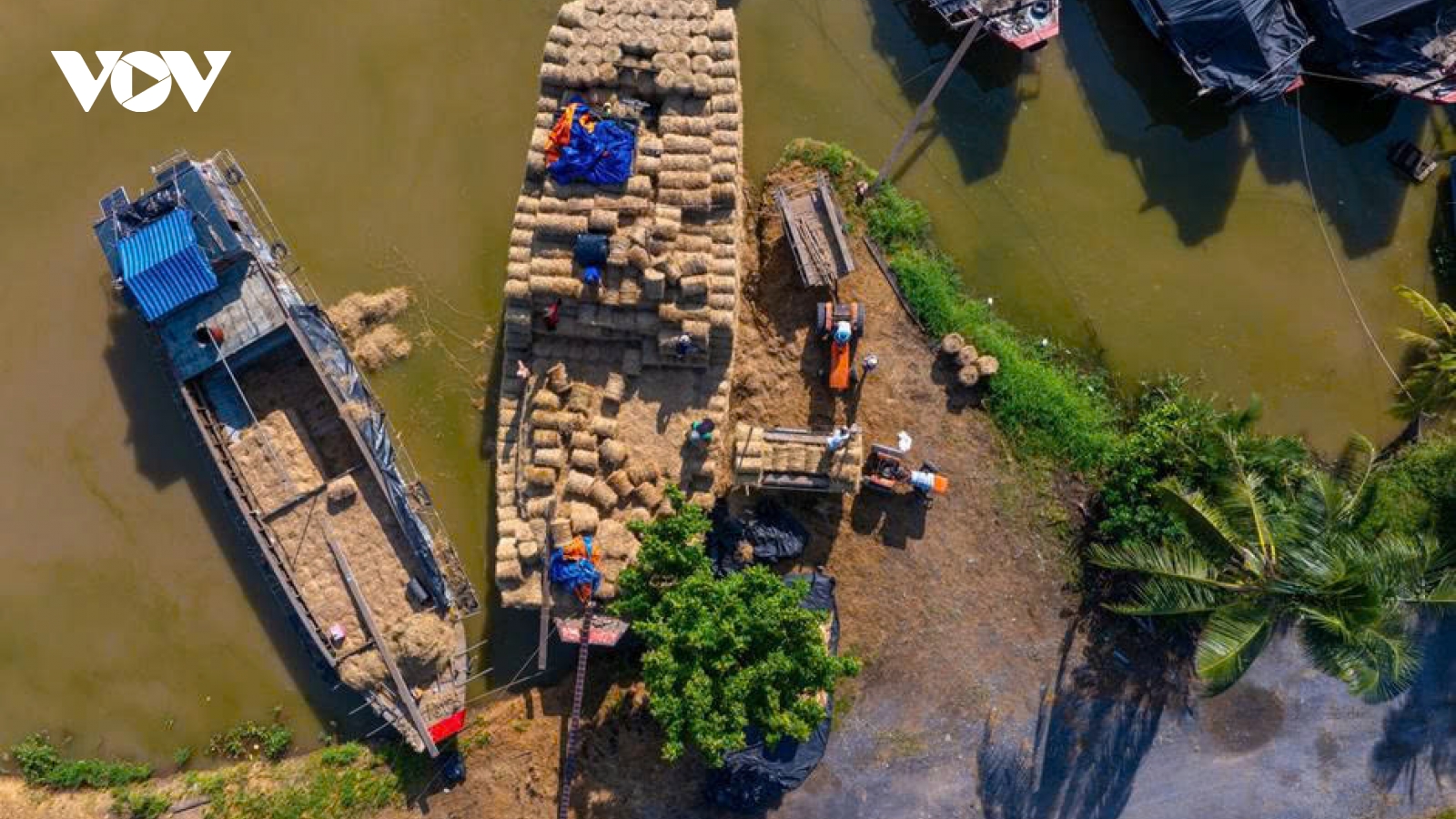 Chợ rơm Ba Lai (Vĩnh Long) bước vào những phiên giao dịch sôi động nhất năm