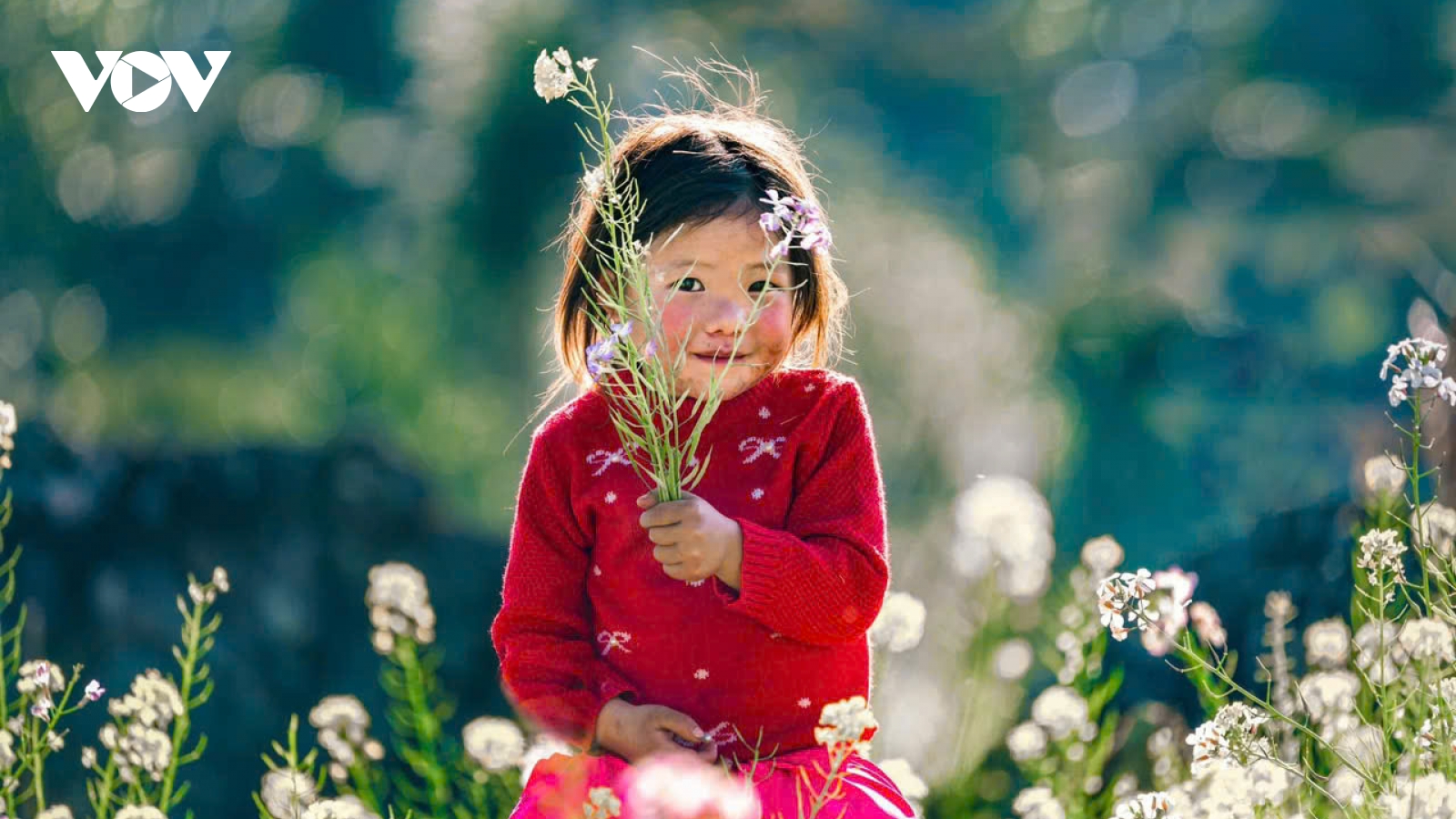 Bản tình ca trên đá và những mùa xuân không tuổi