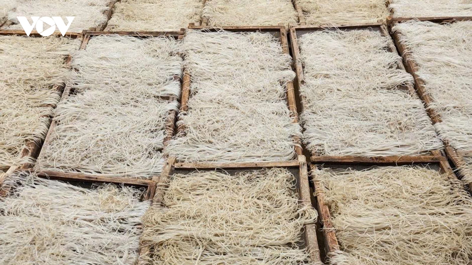 Làng miến dong Quỳnh Phiêng vào vụ Tết