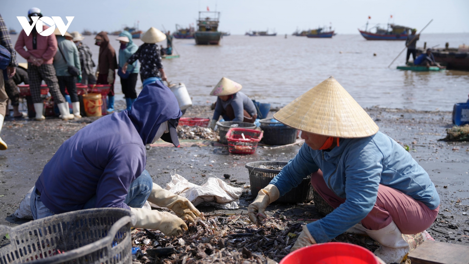 Nữ lao động tự do nơi cảng cá: Bấp bênh theo con nước, mùa gió
