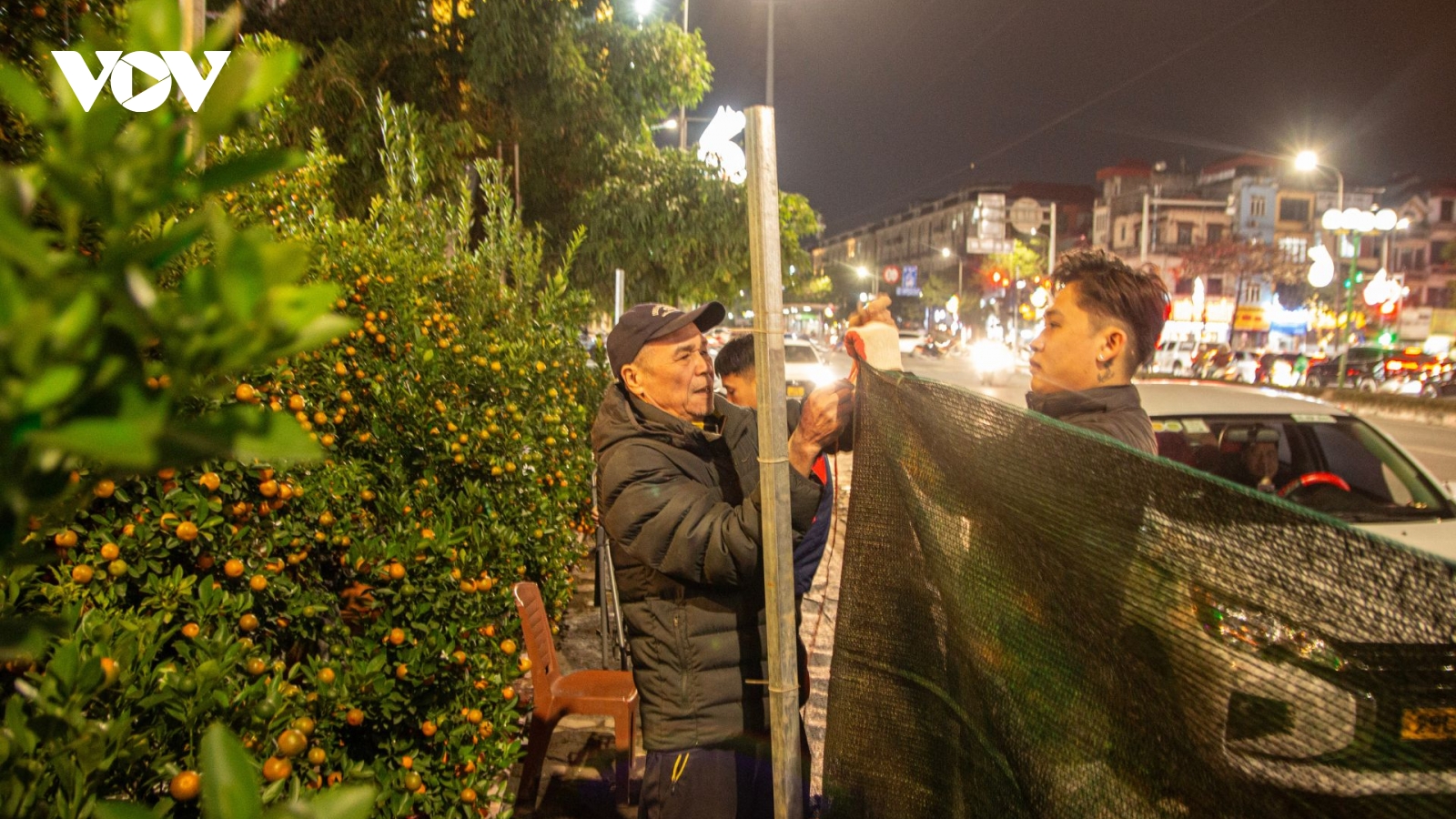 Tiểu thương trắng đêm trông đào, quất trong cái lạnh thấu xương của Hà Nội