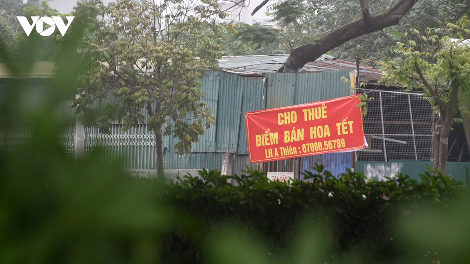 Hà Nội cấp phép 149 chợ hoa Tết nhưng đào quất vẫn “nhảy dù” lấn chiếm vỉa hè