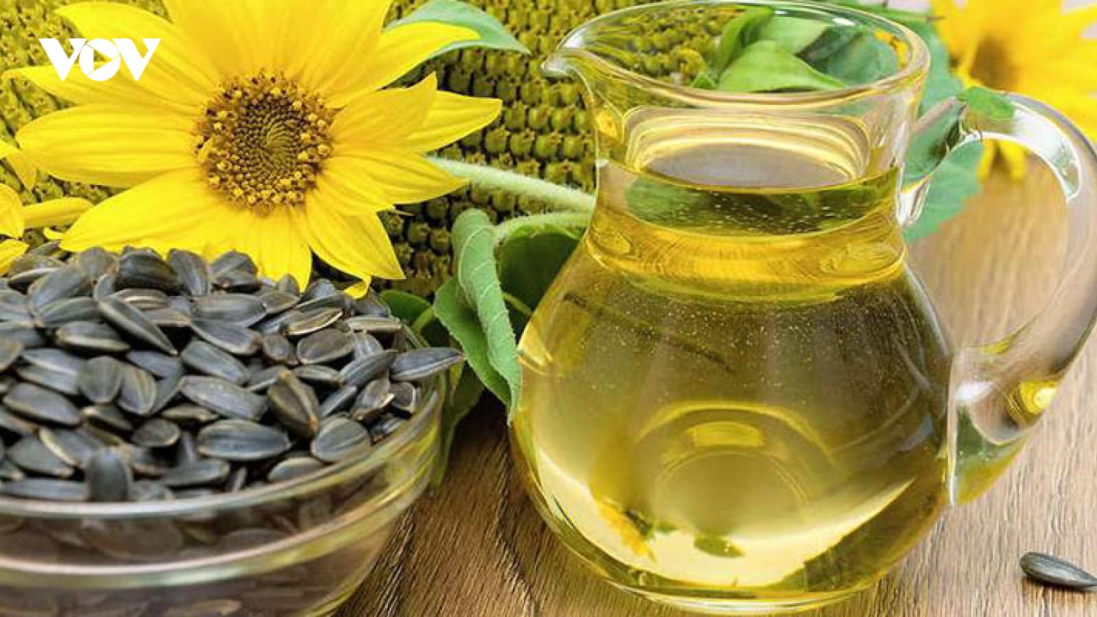 Vì sao dầu hướng dương được ví như “bí quyết vàng” cho làn da khỏe đẹp?