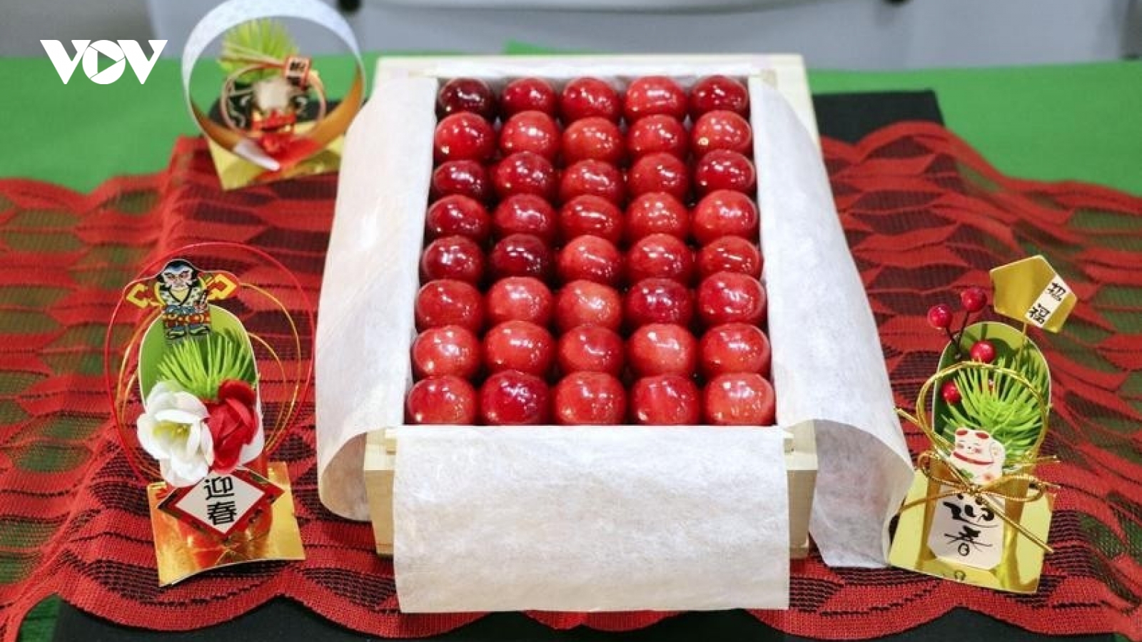 Cherry Nhật Bản giá hơn 4 triệu đồng/quả có gì đặc biệt?