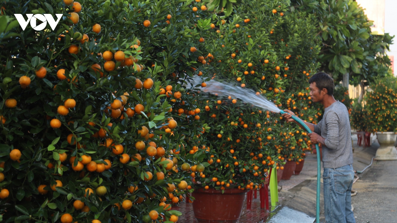 Đưa hàng Tết ra đảo Lý Sơn