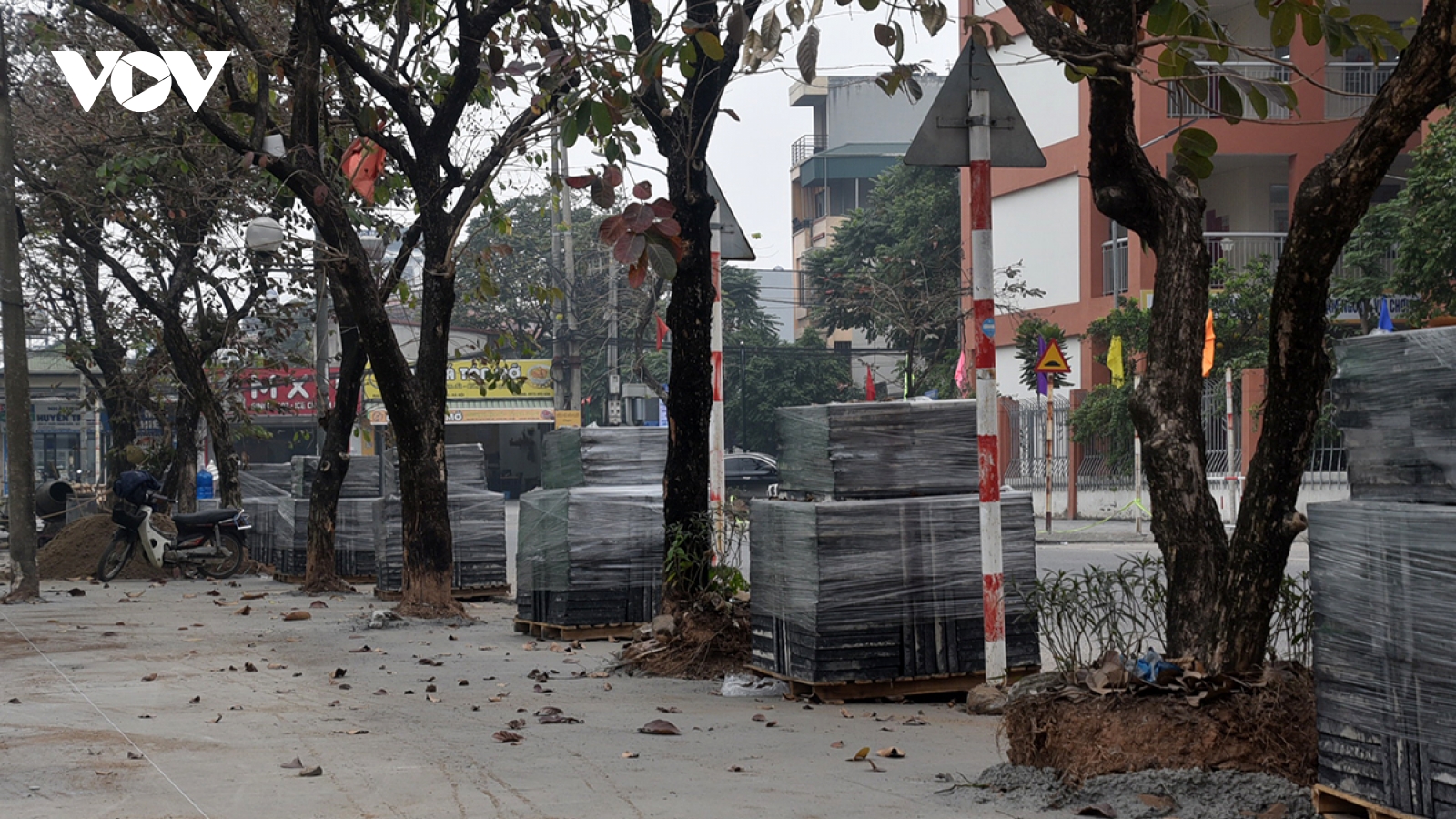 Lát vỉa hè đổ bê tông kín gốc cây ở Hà Nội: Nhà thầu nói gì?