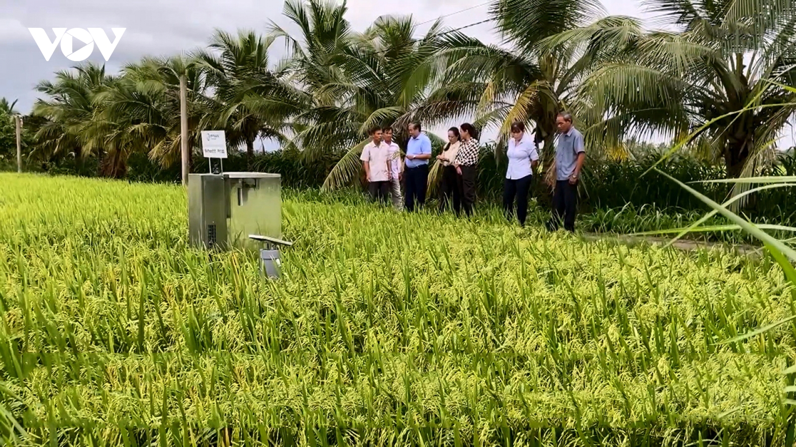 Số hóa nông nghiệp - con đường làm giàu từ ruộng vườn quê hương