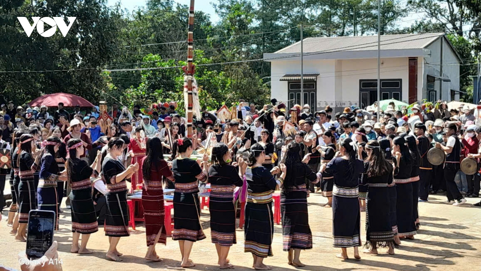 Hương lúa mới trên cao nguyên Đắk Lắk