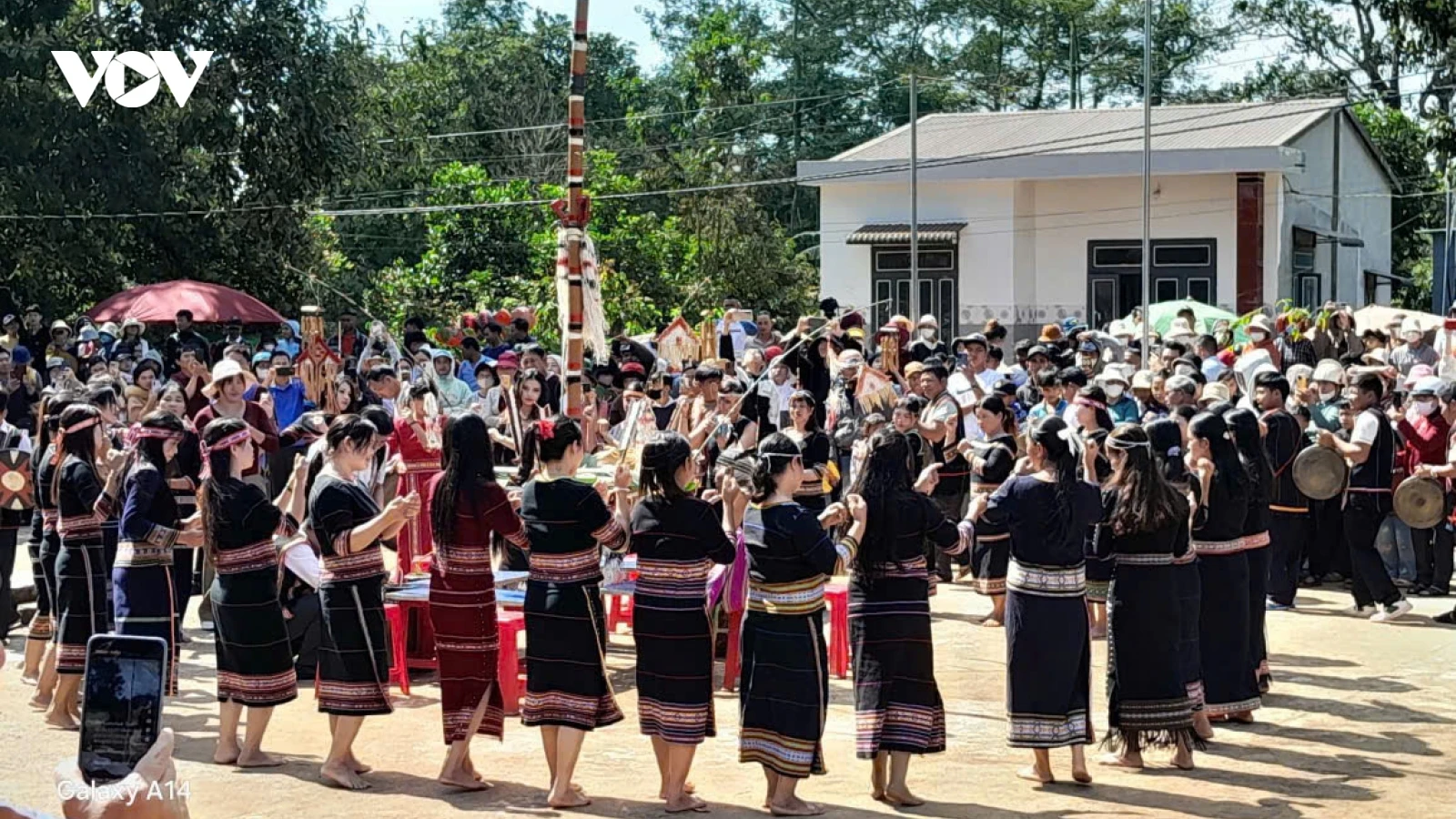 Hương lúa mới trên cao nguyên Đắk Lắk