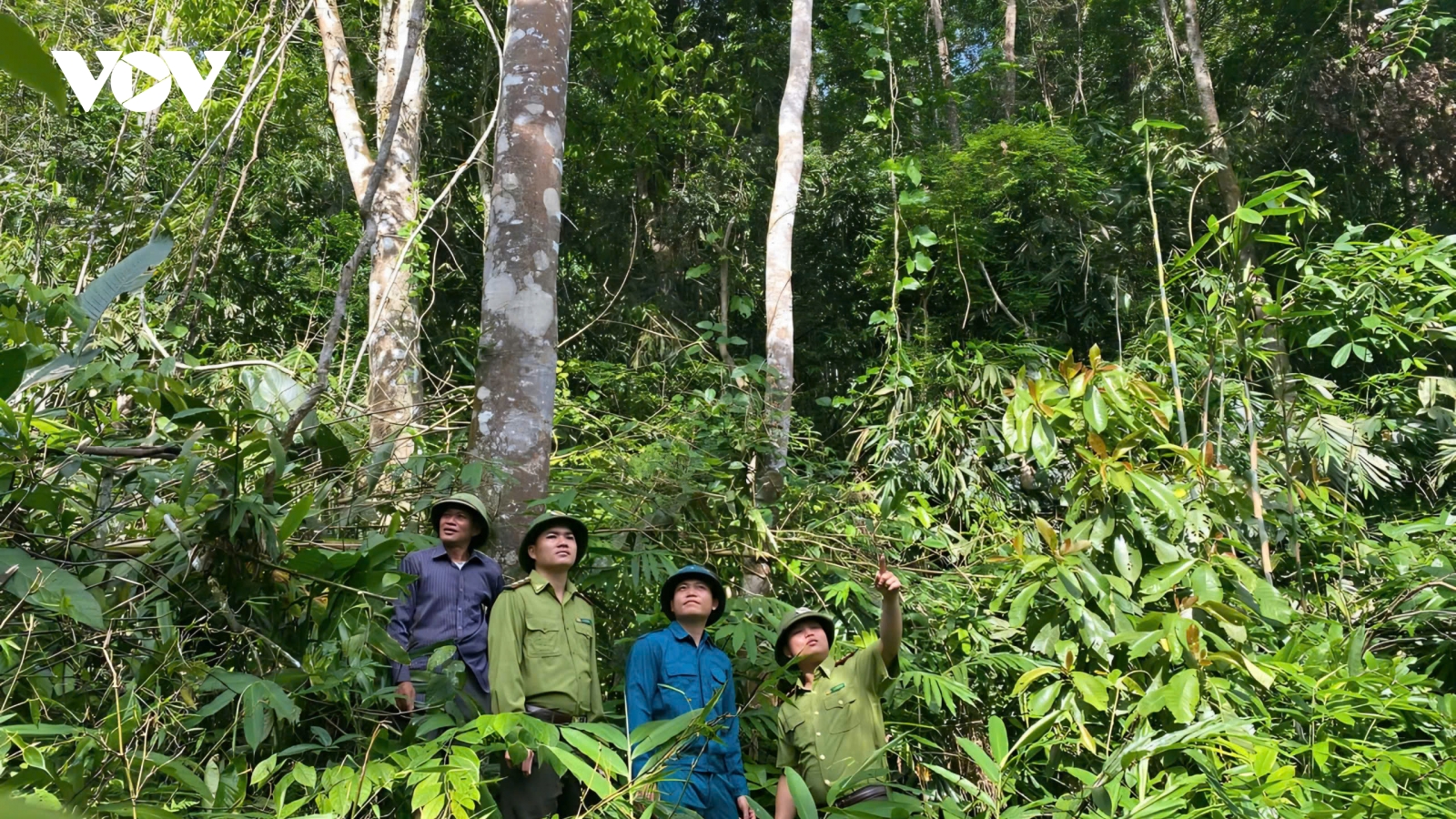 Biến tinh thần nghị quyết thành hành động thực tiễn sinh động