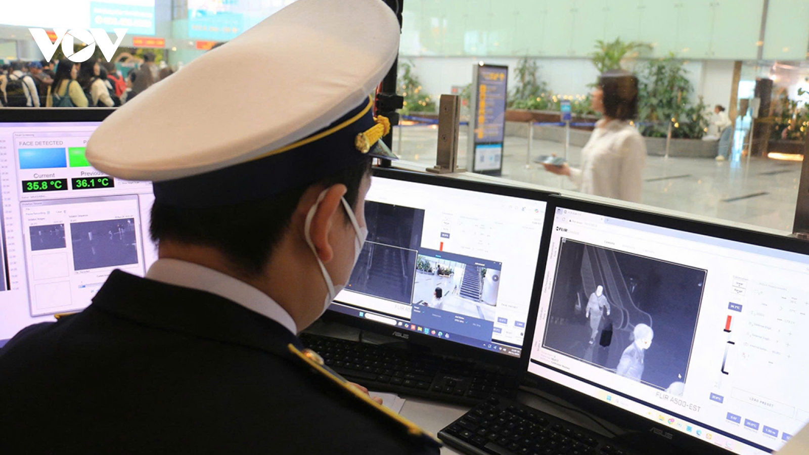 Tăng cường kiểm soát dịch bệnh do virus Nipah tại Đà Nẵng