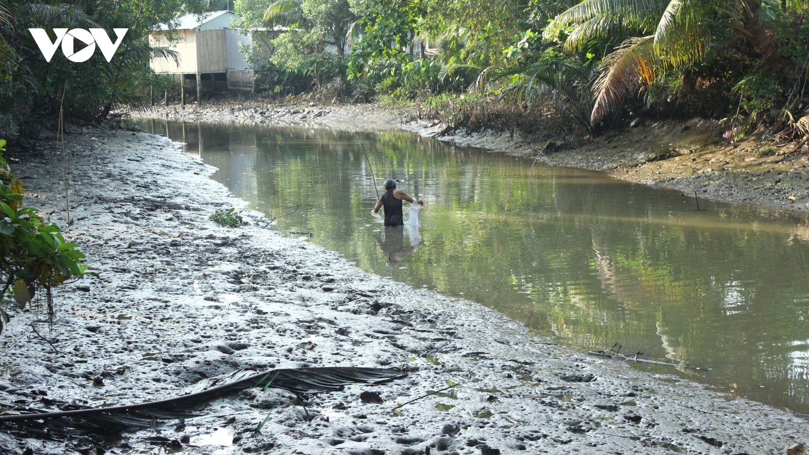 Độ mặn xuất hiện tại một số địa phương trên địa bàn tỉnh Vĩnh Long