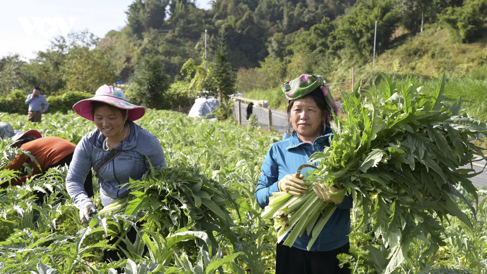 Hiện thực hóa khát vọng vươn mình từ những nghị quyết trụ cột ở Lào Cai