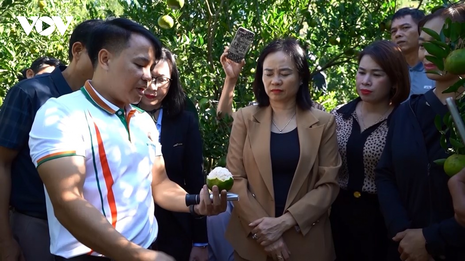 Nông dân Lào Cai lên nền tảng số, mở lối cho nông nghiệp số vùng cao