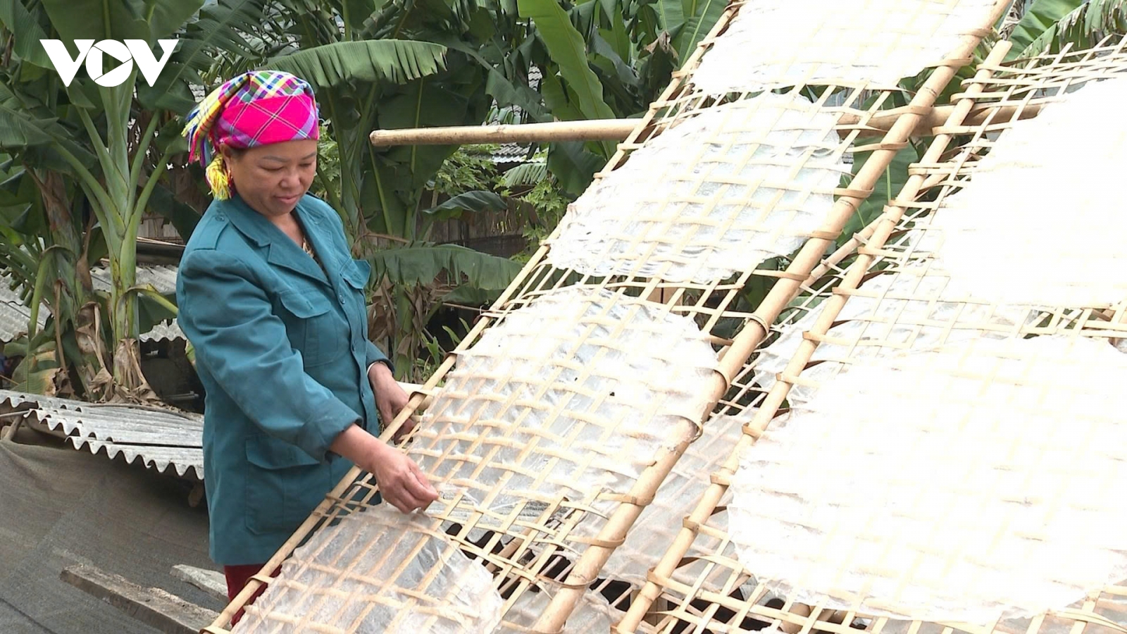 Bản người Nùng giữ nghề làm miến dong tráng tay truyền thống