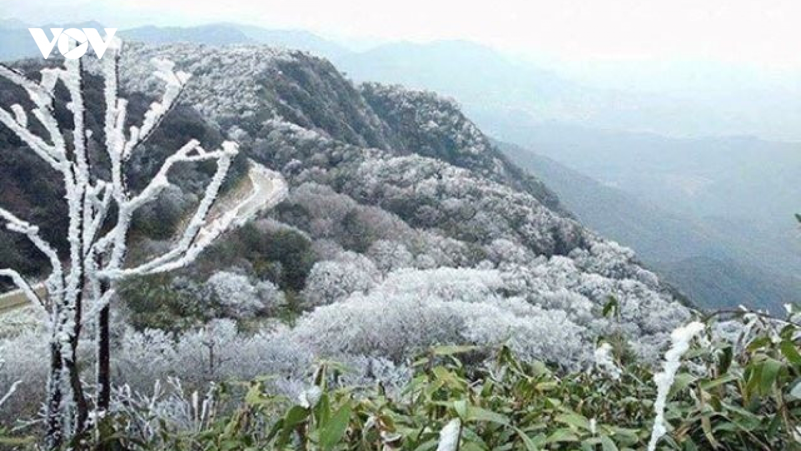 Rét đậm kéo dài ở Bắc Bộ, nhiều nơi thấp dưới 10 độ