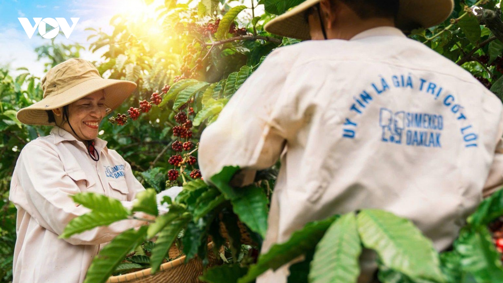 Đắk Lắk thi đua lao động, sản xuất hướng về Đại hội XIV của Đảng