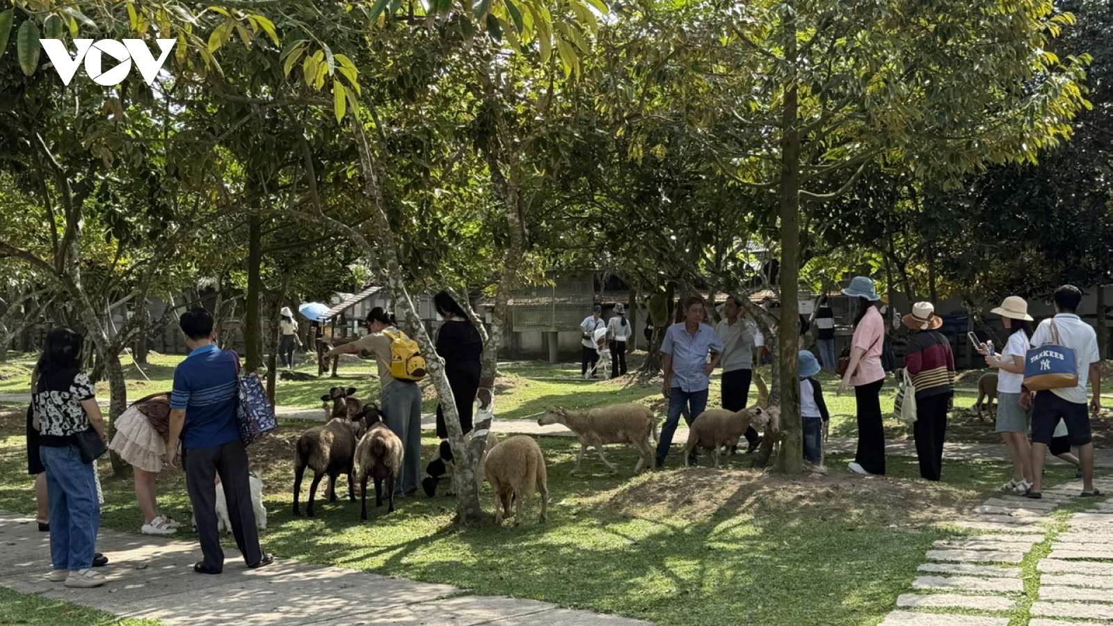 Du lịch Cần Thơ tạo việc làm cho gần 16.000 lao động