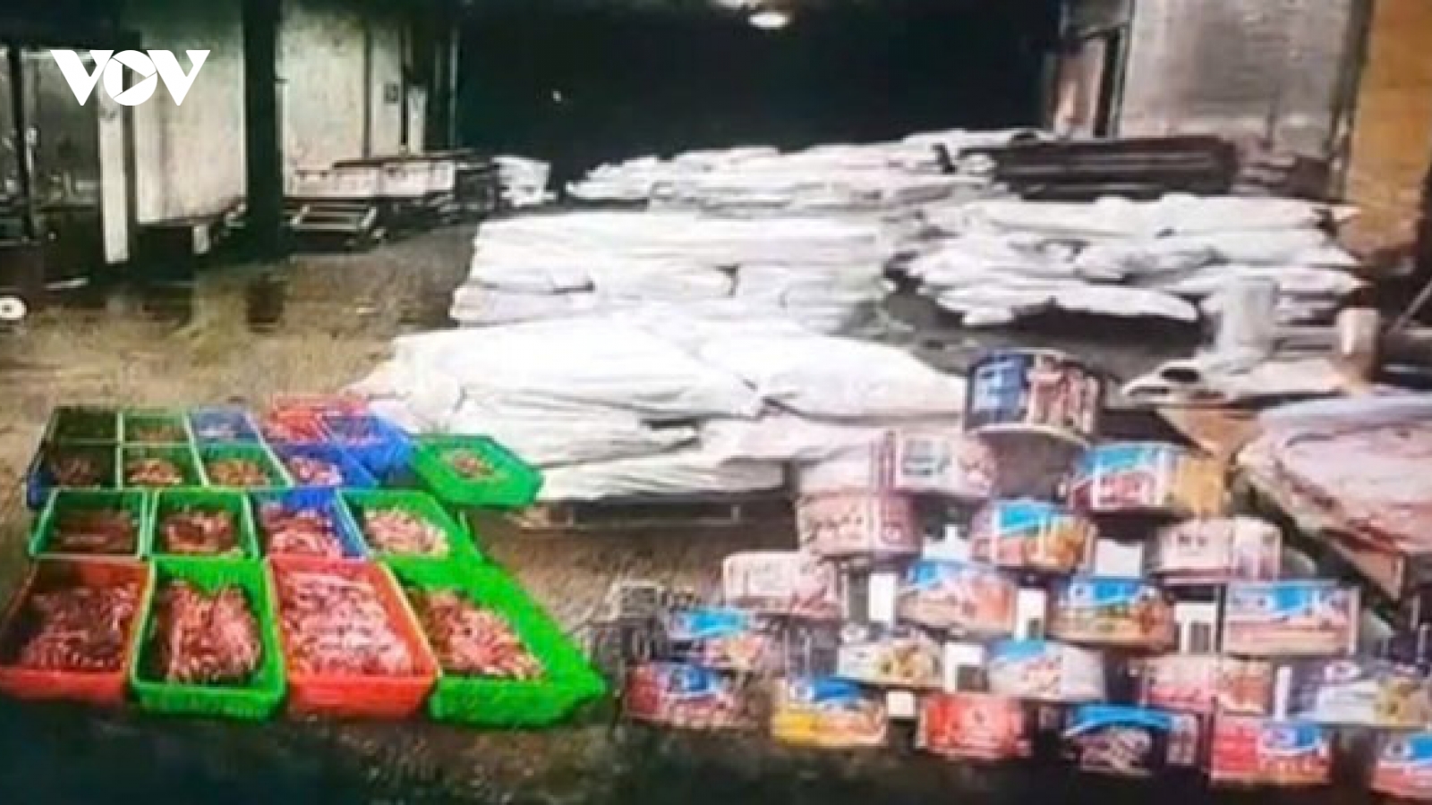 Khởi tố vụ dùng thịt lợn nhiễm dịch tả làm đồ hộp ở Hải Phòng