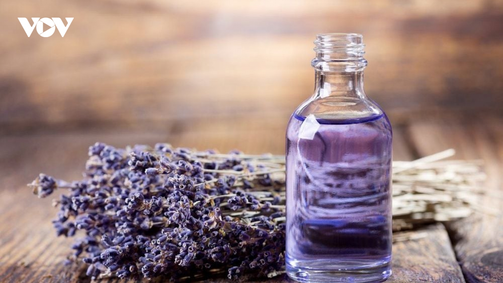 Vì sao tinh dầu lavender được xem là “thần dược” cho sức khỏe và làn da?