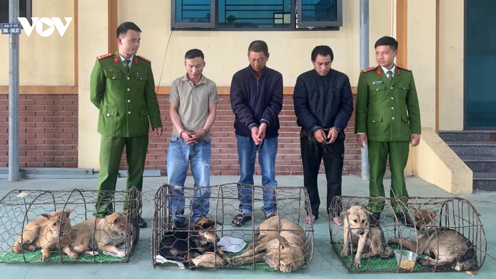 Bắt nhóm đối tượng chuyên mang hung khí đi trộm chó