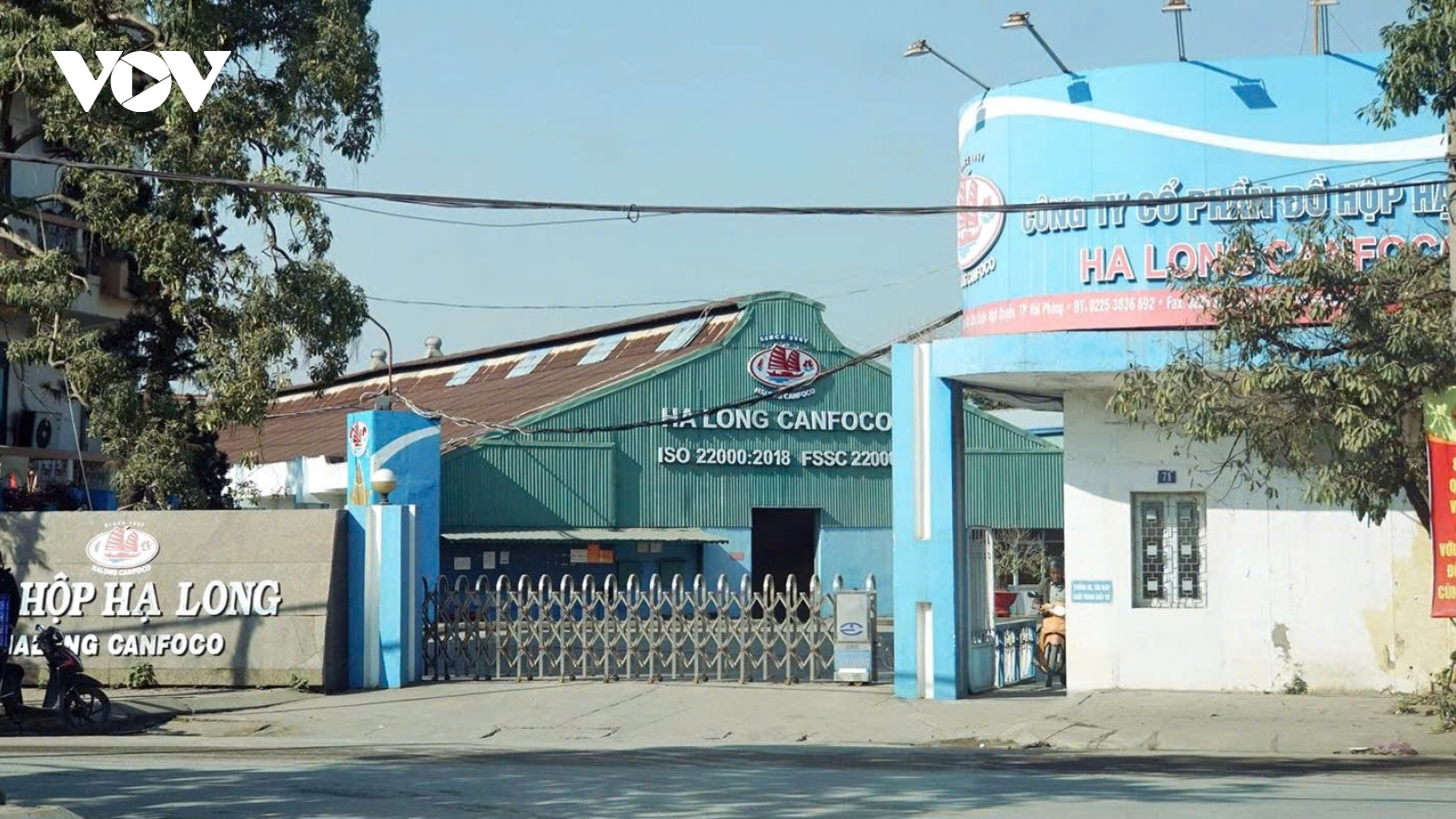 Bắt khẩn cấp tổng giám đốc công ty cổ phần Đồ hộp Hạ Long