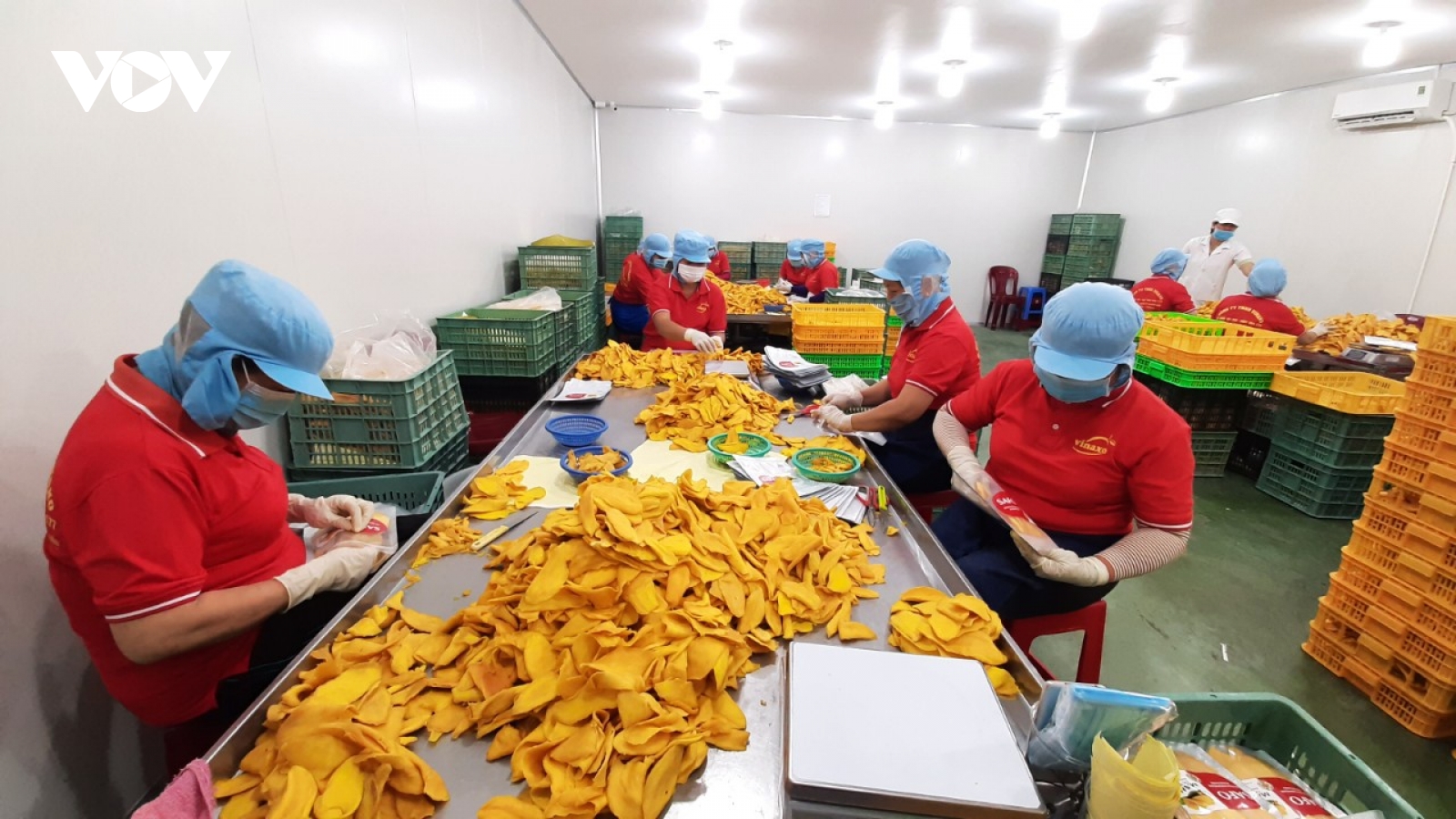 Tổng kim ngạch xuất khẩu hàng hóa của Đồng Tháp dẫn đầu vùng ĐBSCL