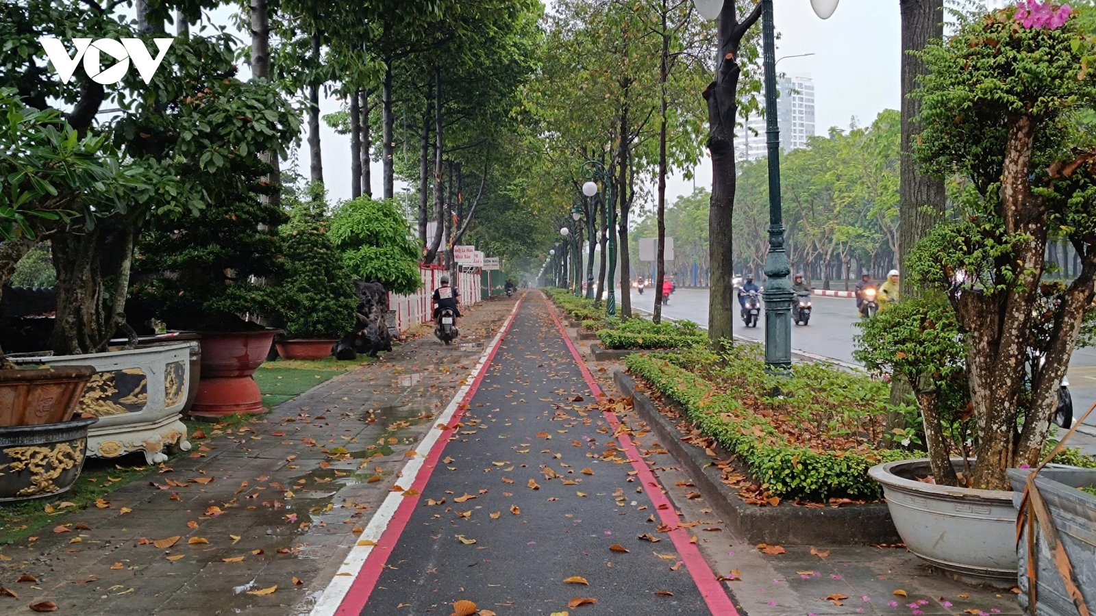 Tuần đầu vận hành làn riêng xe đạp ở TP.HCM: Vắng người đạp, xe máy "mượn" đường