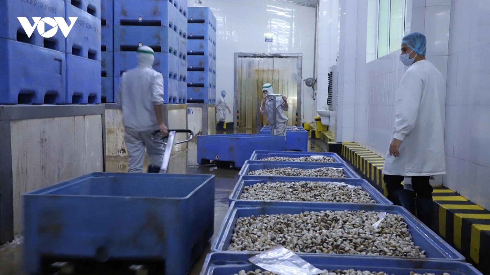 An toàn thực phẩm nông lâm thủy sản 2025: Tỷ lệ mẫu đạt yêu cầu chạm mốc 97,8%