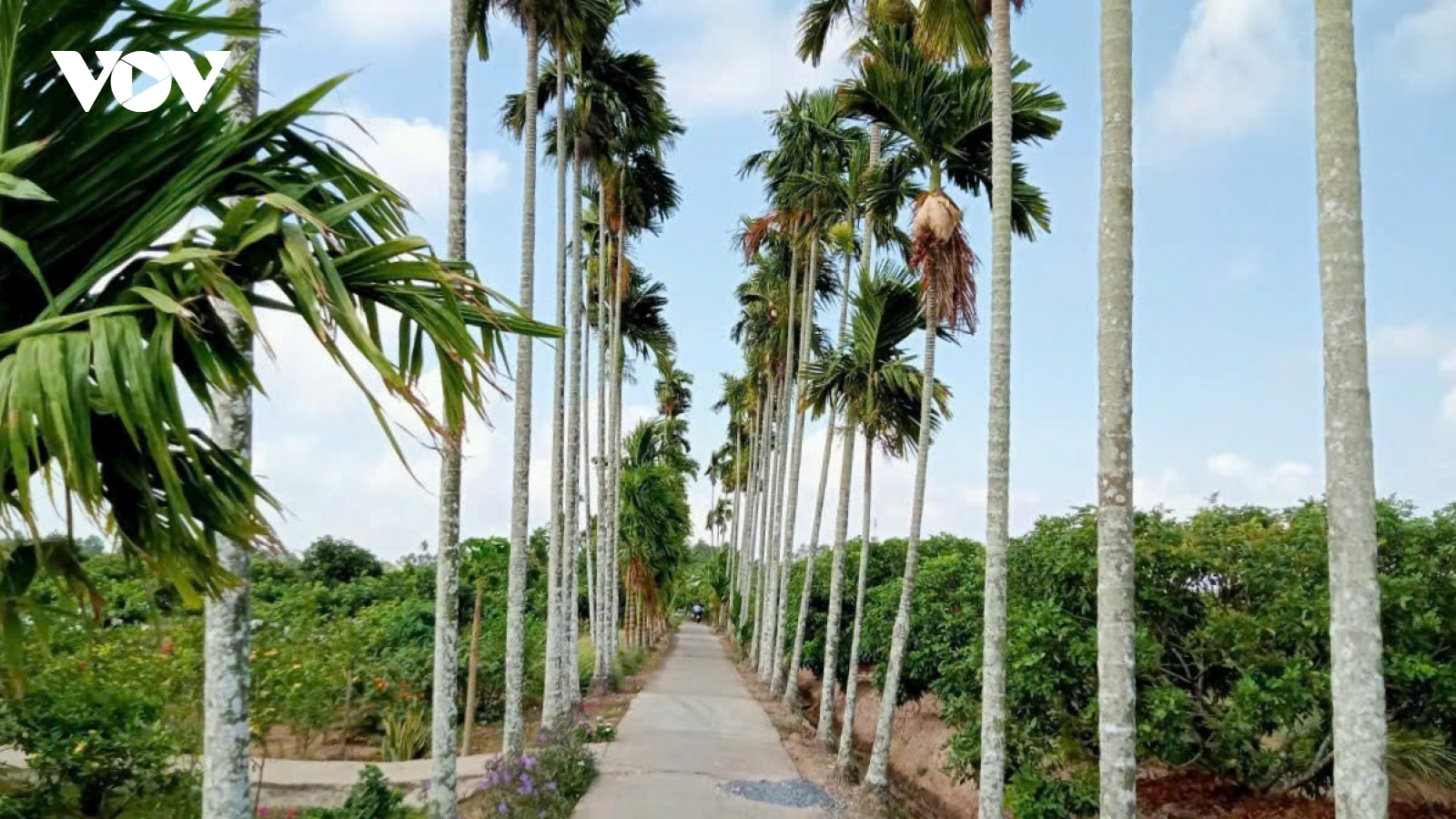 Cần Thơ rà soát, nâng cao chất lượng xây dựng nông thôn mới trên địa bàn các xã