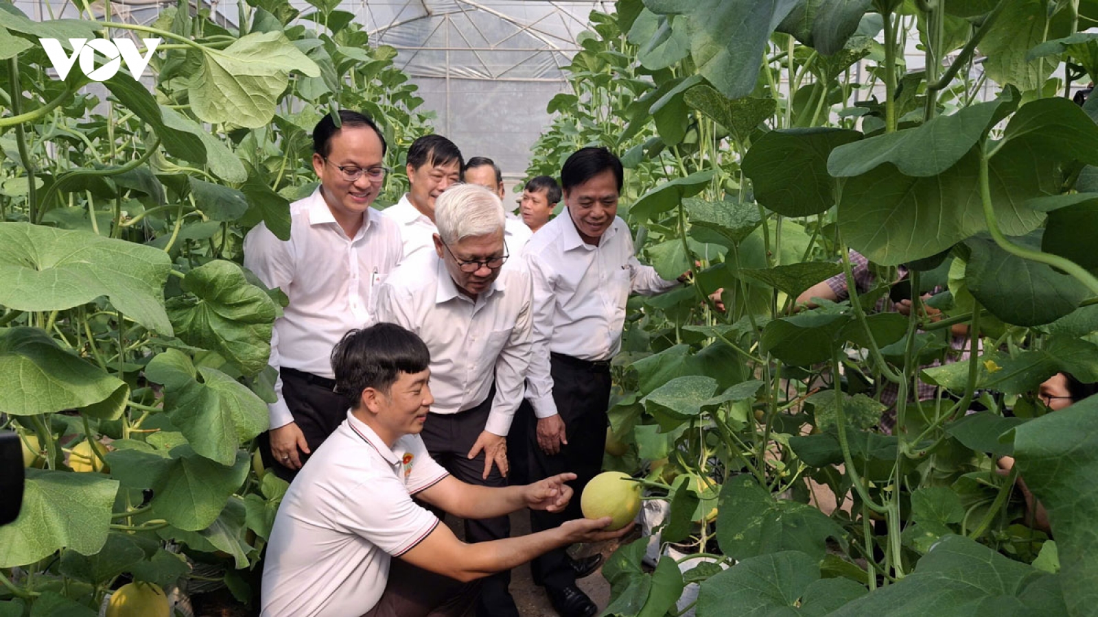 Hướng về Đại hội XIV: Kỳ vọng cơ chế thoáng để nông nghiệp cất cánh